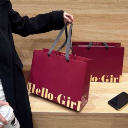 Custom Logo Luxury Paper Bag Packaging Gift Bag Shopping Cardboard Bags with Handles for Clothes